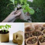 Stop Tossing Out the Old Pill Bottle: Here Are 12 Ways to Reuse It